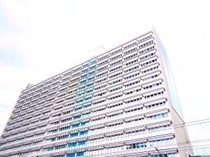 32506954_1803852762970397_4918540858833240064_n